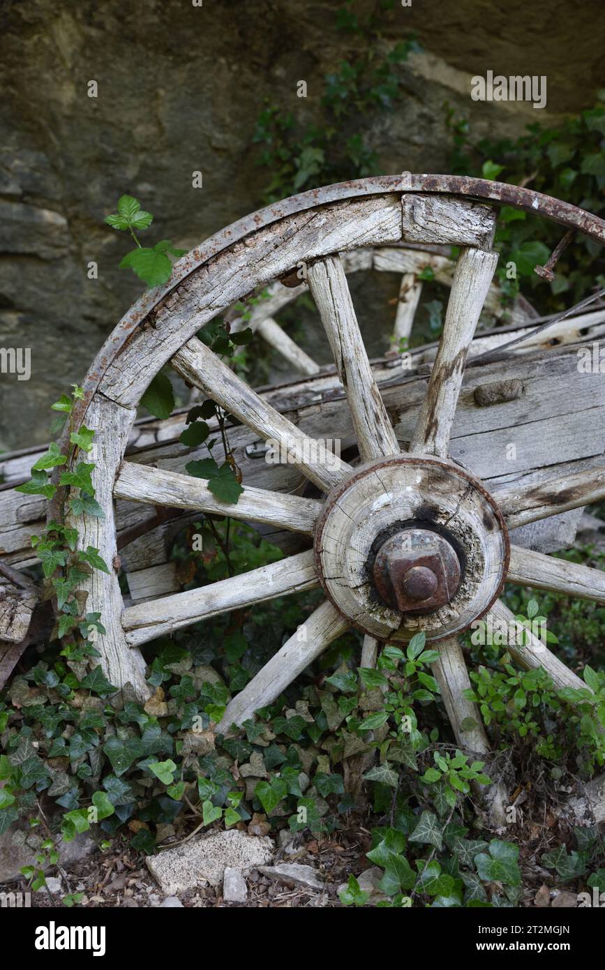 Verrottendes altes hölzernes Kartonrad oder Wagenrad mit Holzspeichen Stockfoto