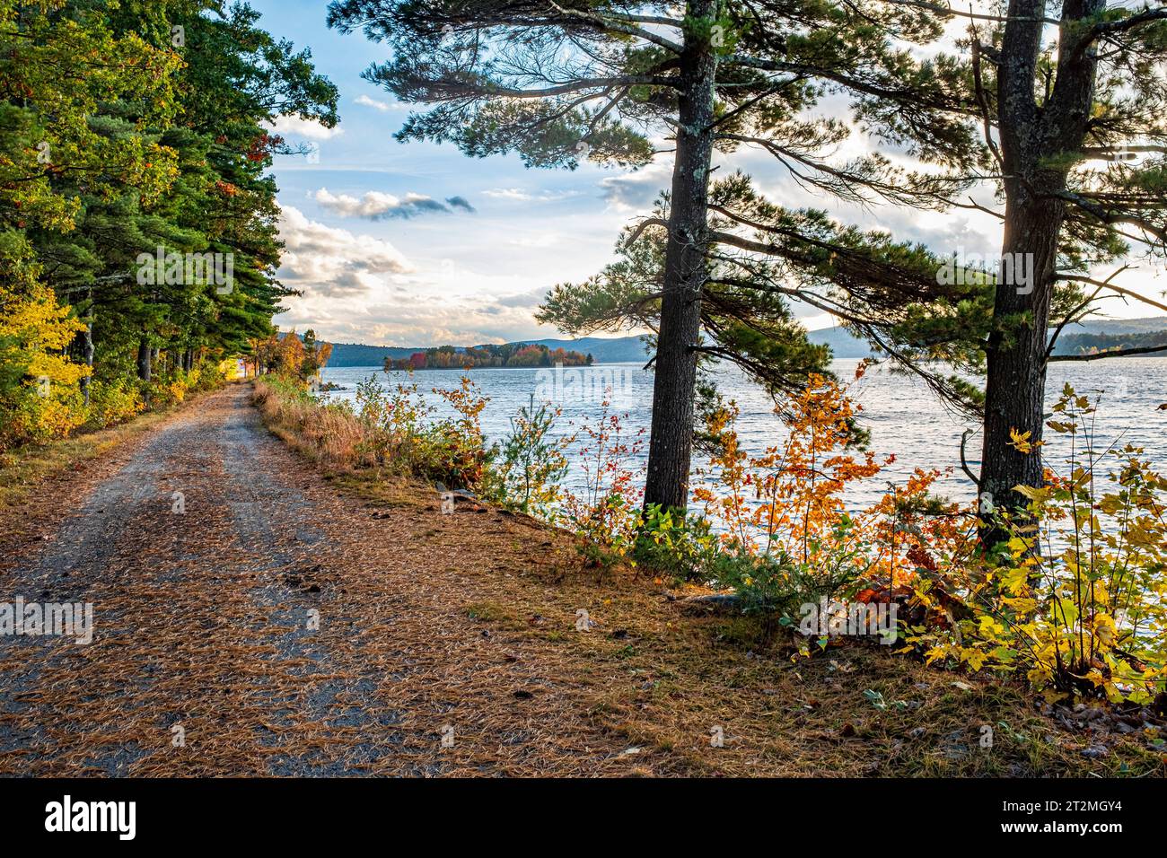 Herbstfarben bei Gate 35 im Quabbin Reservoir Stockfoto