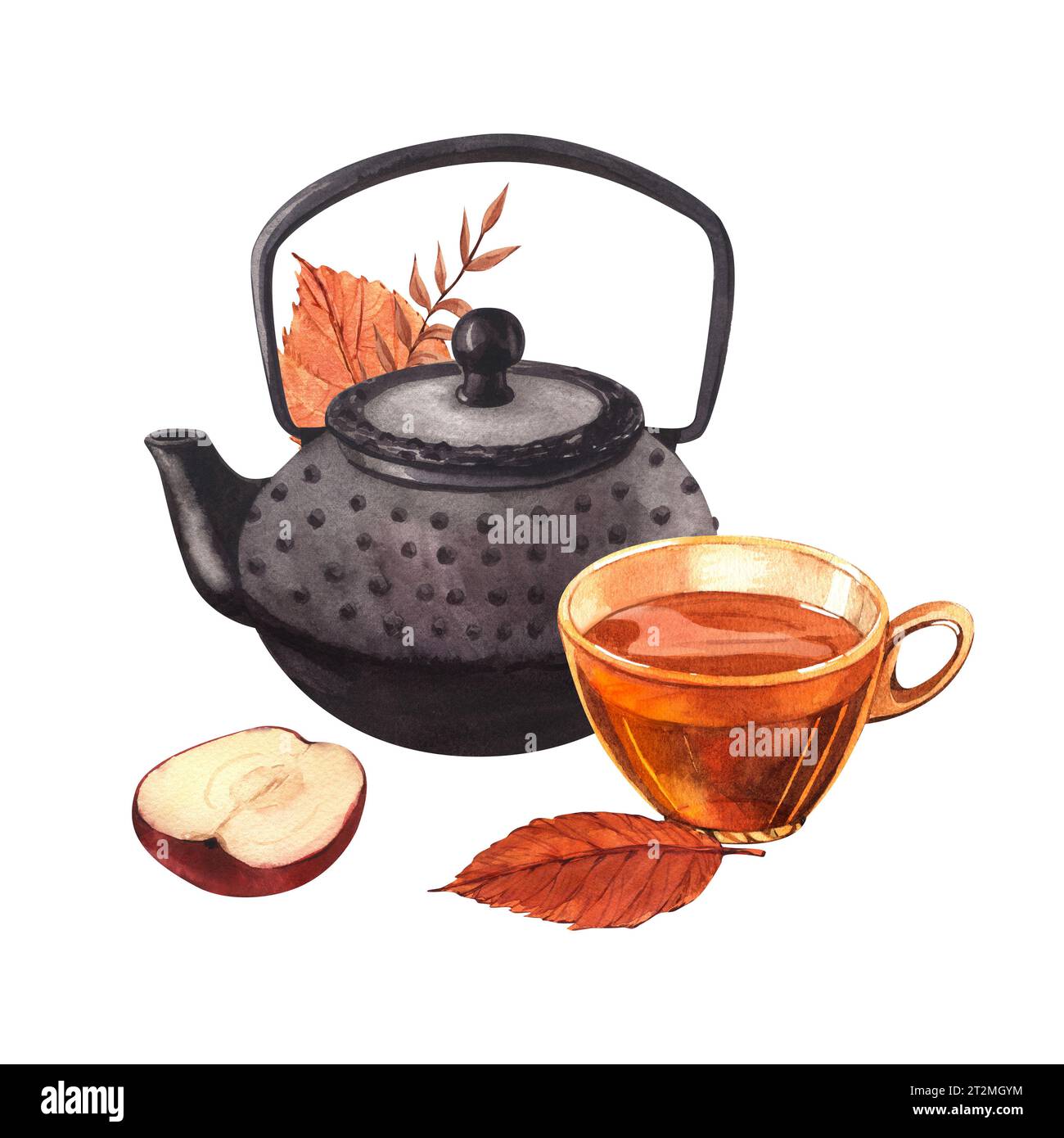 Gebrühter schwarzer Tee in Glasbecher und Teekanne mit Herbstblättern, Apfel. Handgezeichnete Aquarellillustration isoliert auf weißem Hintergrund. Perfekt für die Speisekarte Stockfoto