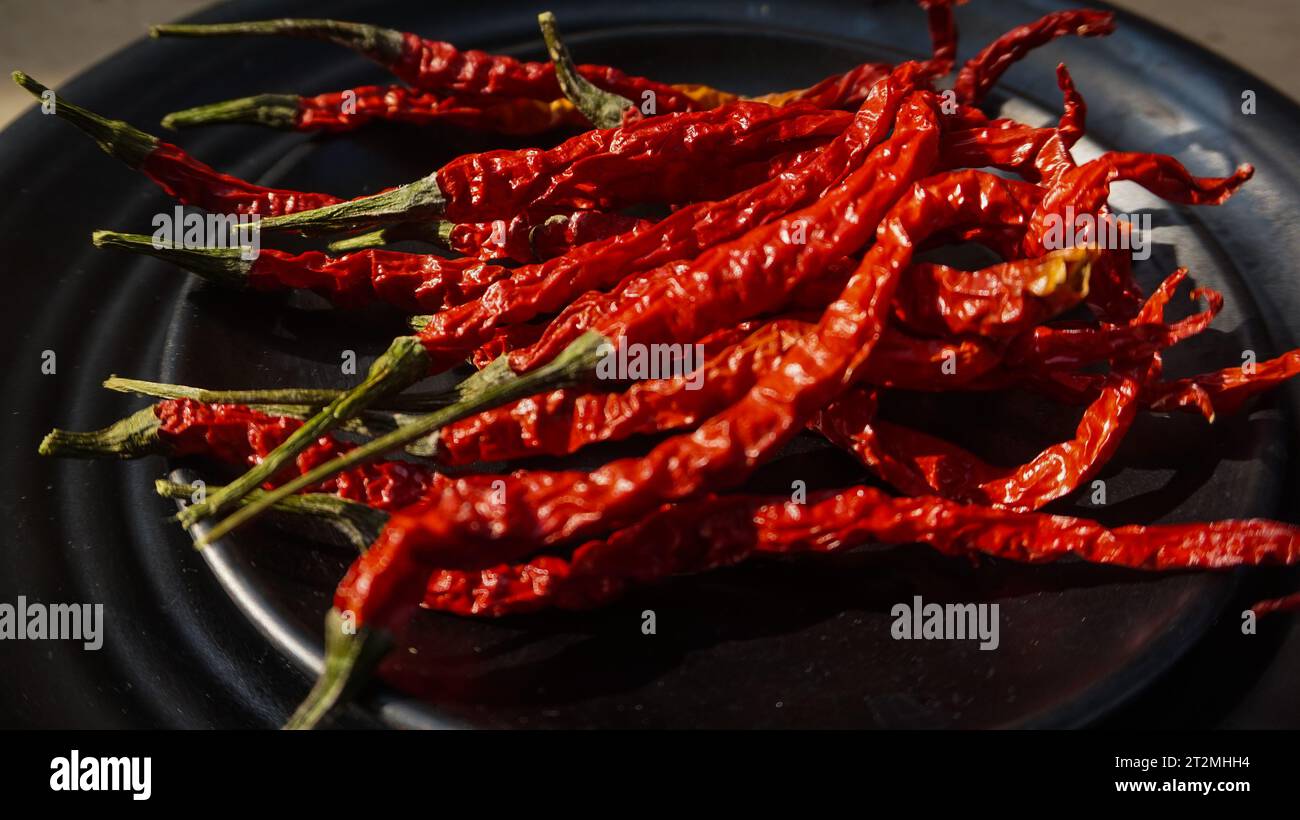 Getrocknete, lockige rote Chilis werden auf dem Tisch als Kochzutat mit würzigem Geschmack serviert Stockfoto