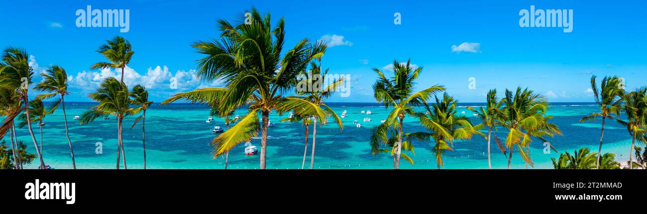Panorama des türkisfarbenen karibischen Meeres und des klaren blauen Himmels durch grüne Kokospalmen. Urlaub am besten Strand der Welt Stockfoto