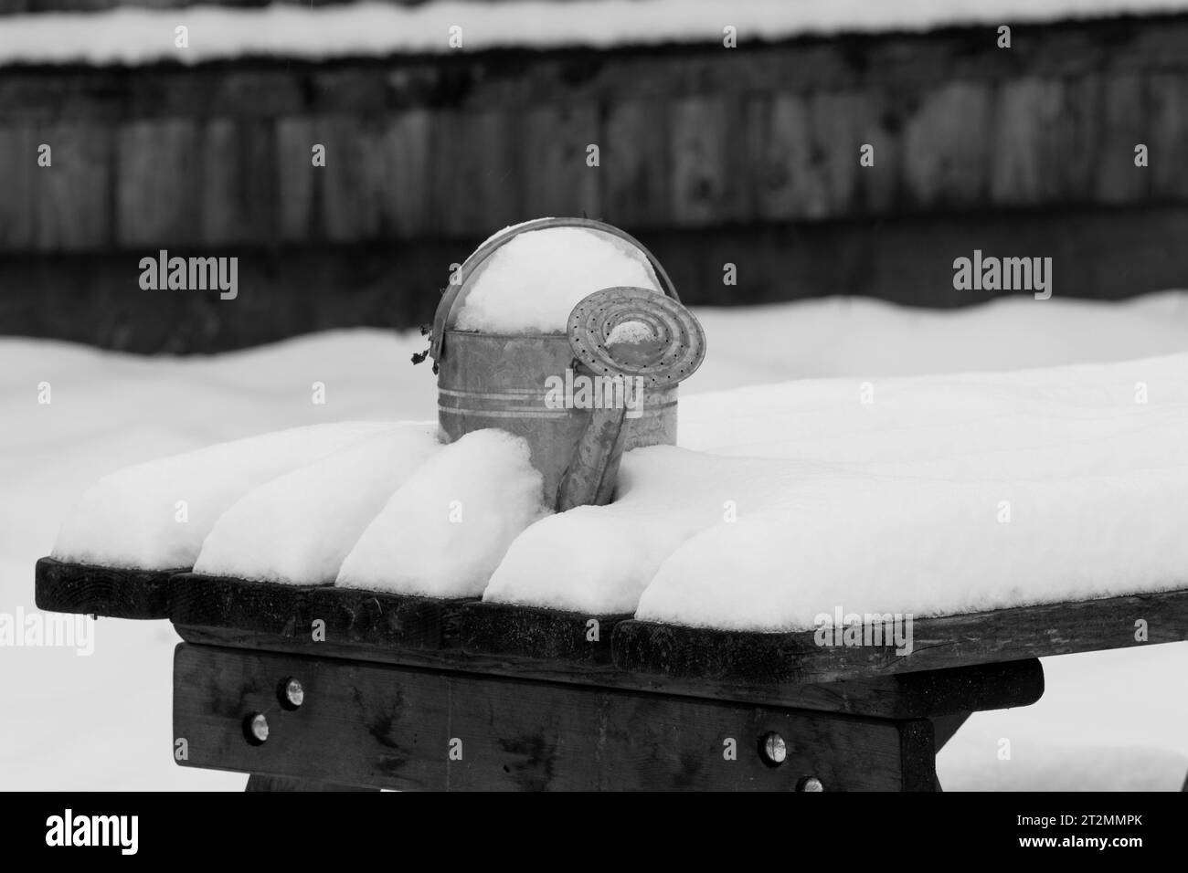 Emaille-Gießkanne auf schneebedeckter Bank. Überwinterung. Schwarzweißbild. Stockfoto