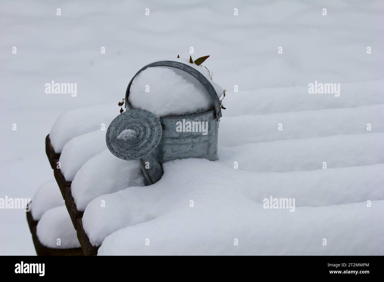Emaille-Gießkanne auf schneebedeckter Bank. Überwinterende Gartenbewässerungskanne. Stockfoto