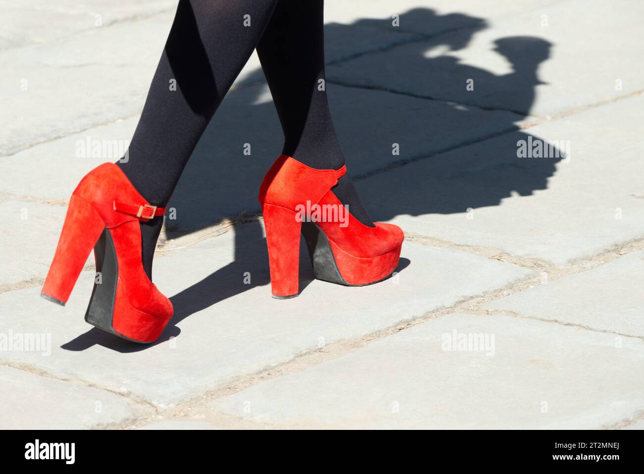 High Heel Schuhe Bein Fotos Und Bildmaterial In Hoher Auflösung Alamy Cascading House Plant Rex Begonia Hanging Basket