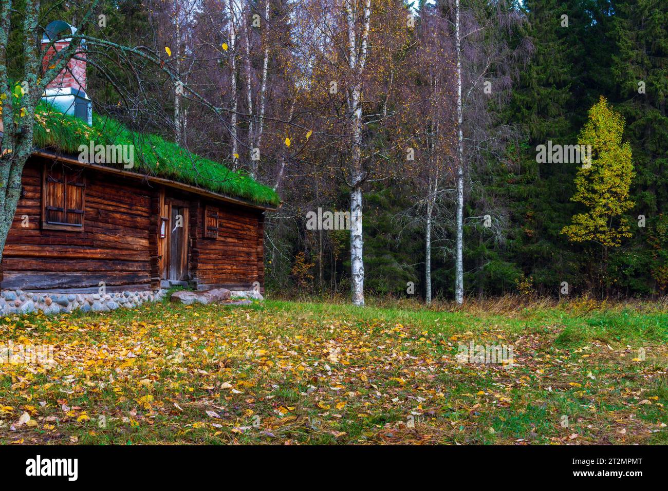 Fantastische Herbstlandschaft Stockfoto