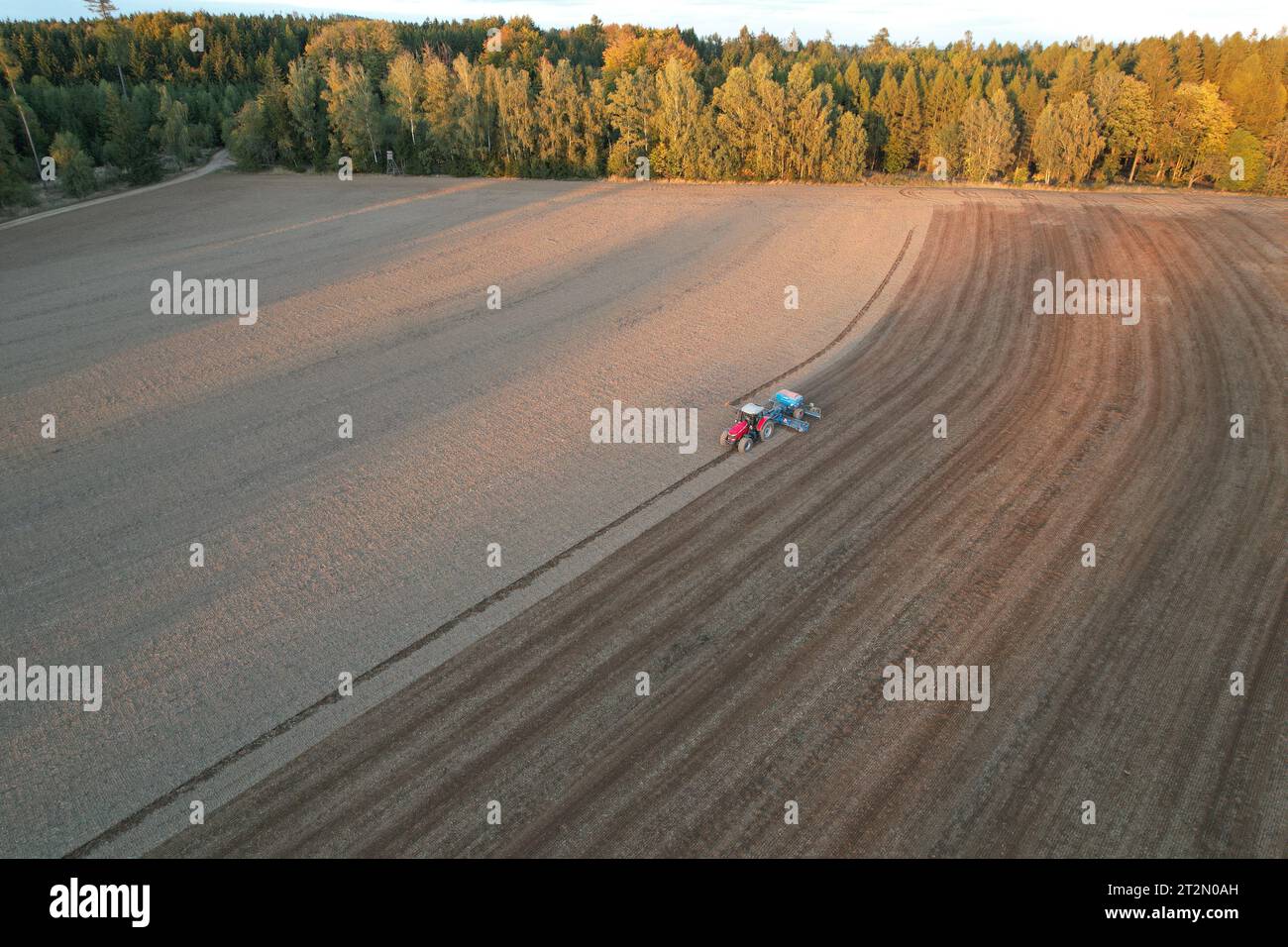 Landwirt mit Traktorsaat und Aussaat von Getreide auf dem landwirtschaftlichen Feld. Pflanzen, Weizen. Boden lockert sich auf einem Feld mit landwirtschaftlichen Nutzpflanzen, Luftaufnahme. Trac Stockfoto