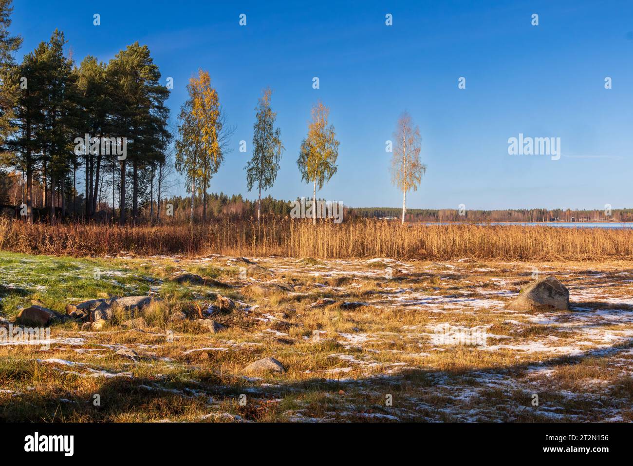 Herbstlandschaft in schweden Stockfoto