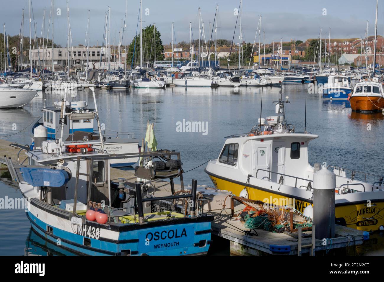 Kommerzielle Fischerboote und Freizeitboote liegen im Hafen von Weymouth Dorset England UK Stockfoto