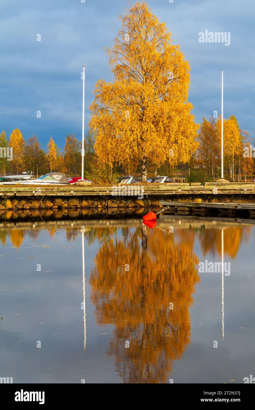 Herbstlandschaft in schweden Stockfoto