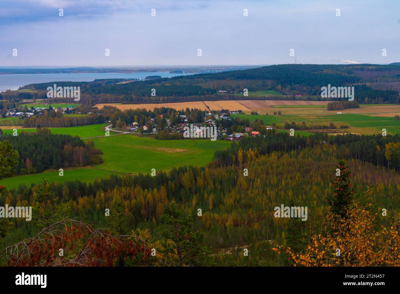 Lebhafte Herbstfarben in der schwedischen Landschaft Stockfoto