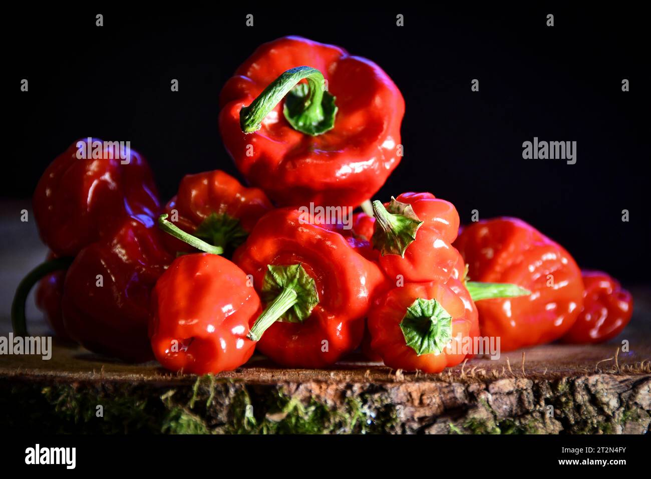 Hot Chili Stockfoto