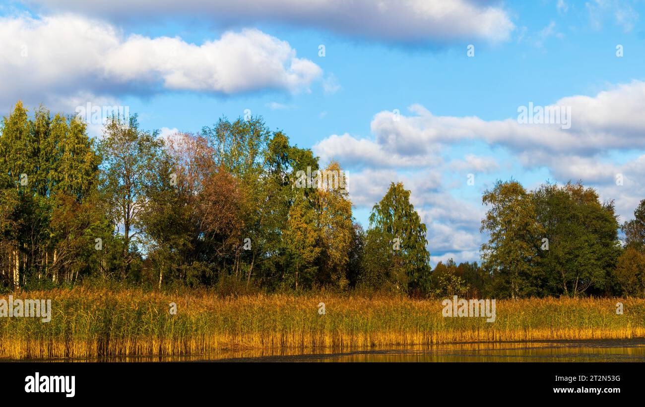 Herbstlandschaft in schweden Stockfoto