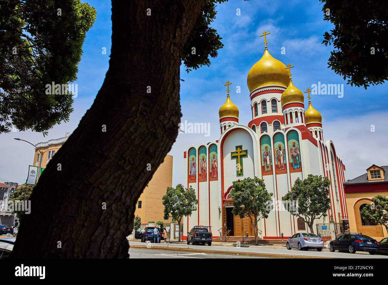 Large tree in front of entrance to Russian orthodox church Holy Virgin Cathedral Stockfoto
