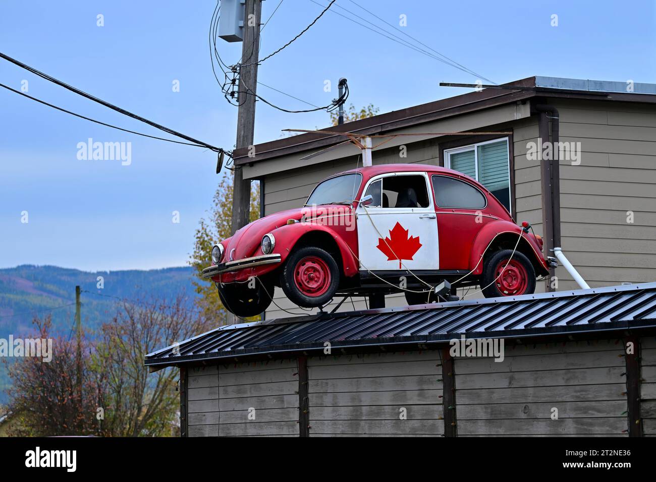 Alter VW-Käfer-Wagen auf dem Dach von Auto-Recycler, mit kanadischer Flagge Ahornblatt-Motiv Stockfoto
