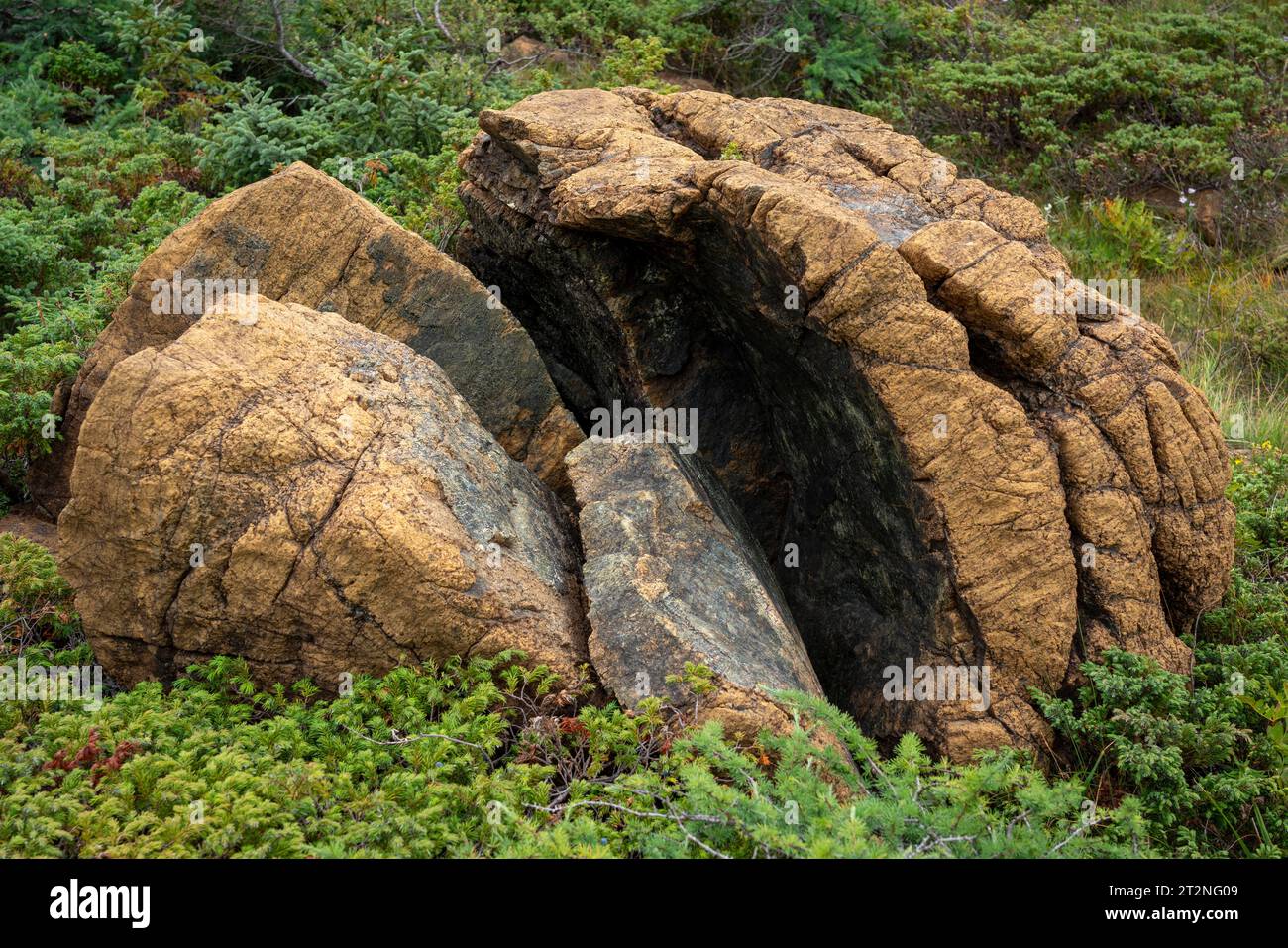 Felsen aus dem Erdmantel in Gros Morne NP, Neufundland Stockfoto