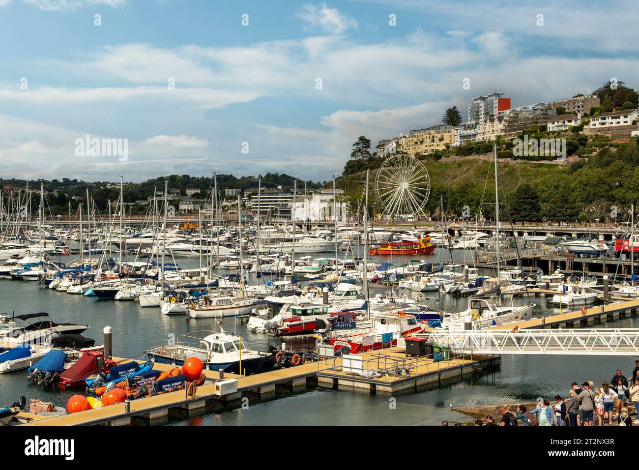 Die Marina in Torquay, Devon, England Stockfoto