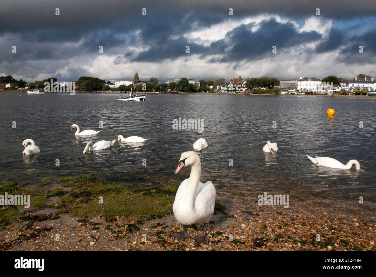 Mudeford Quay, Christchurch, Dorset, England Stockfoto