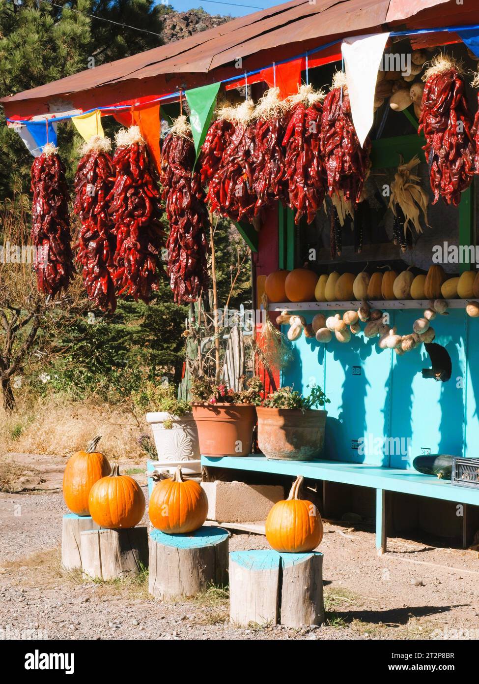 Farbenfroher Markt am Straßenrand in New Mexico im Herbst Stockfoto