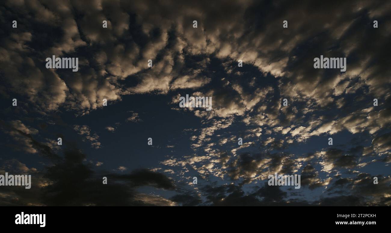Wunderschöner Abendhimmel mit traumhaften impressionistischen weißen Büscheln aus Altocumulus und Perlucidus Wolken Stockfoto