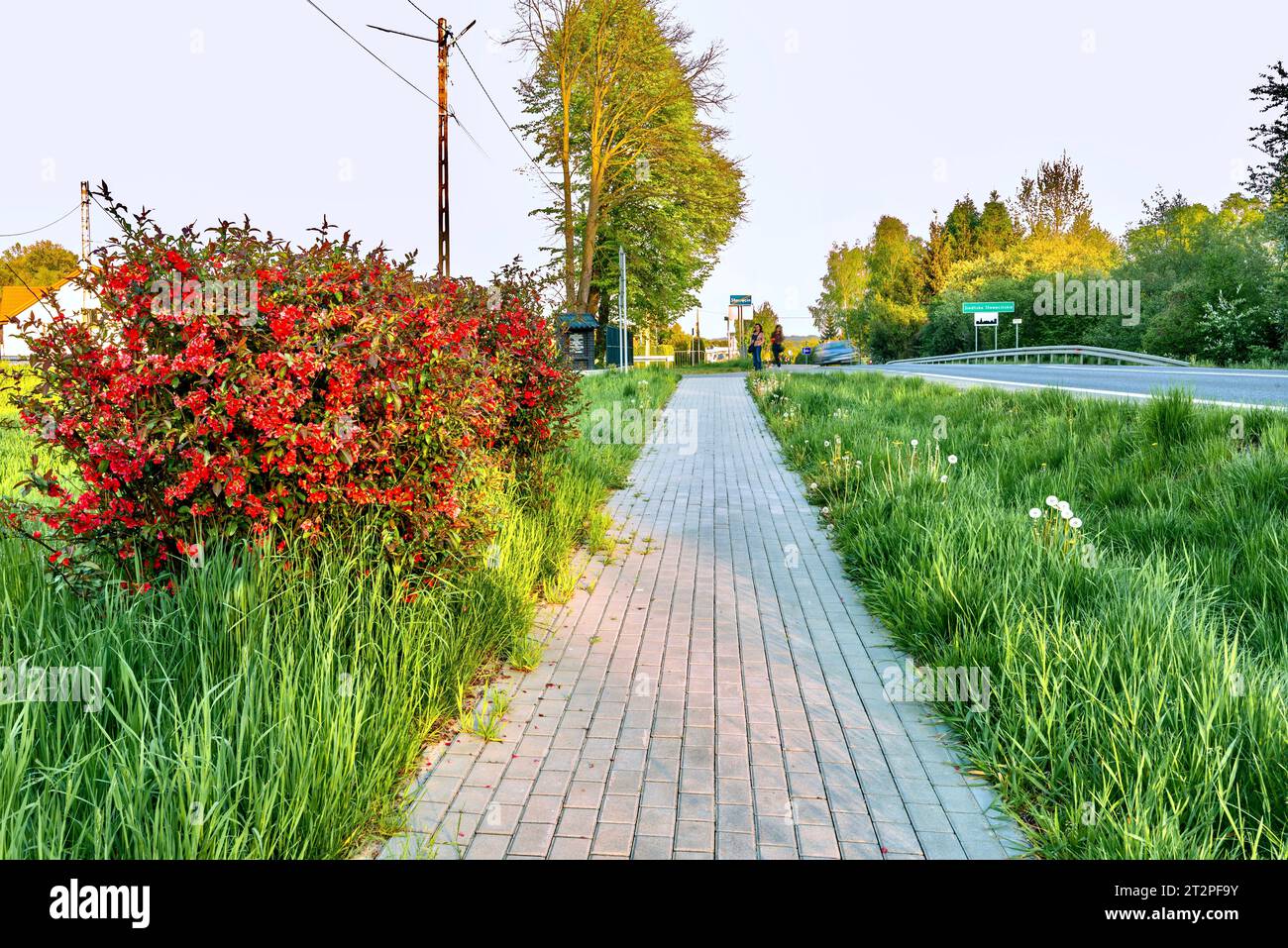Pfad im Park an einem sonnigen Tag mit grünem Gras und Blumen, Polen Stockfoto