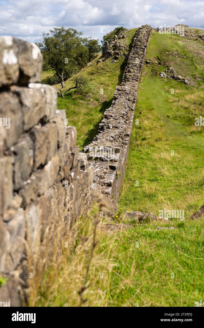 Blick auf die Hadrian's Wall bei Walltown Crags, in der Nähe von Greenhead, Northumberland, Großbritannien Stockfoto