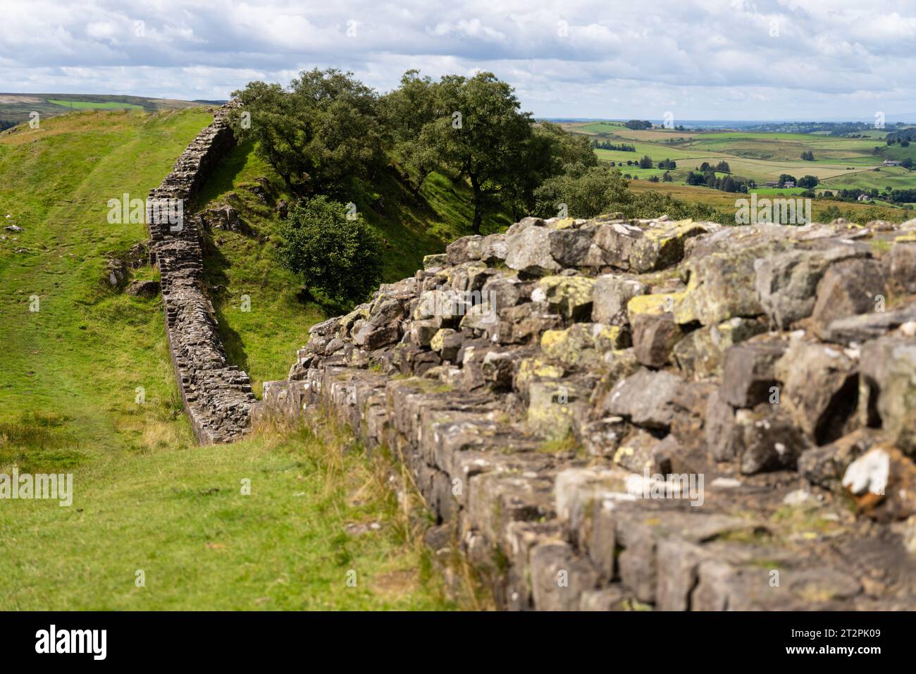 Blick auf die Hadrian's Wall bei Walltown Crags, in der Nähe von Greenhead, Northumberland, Großbritannien Stockfoto