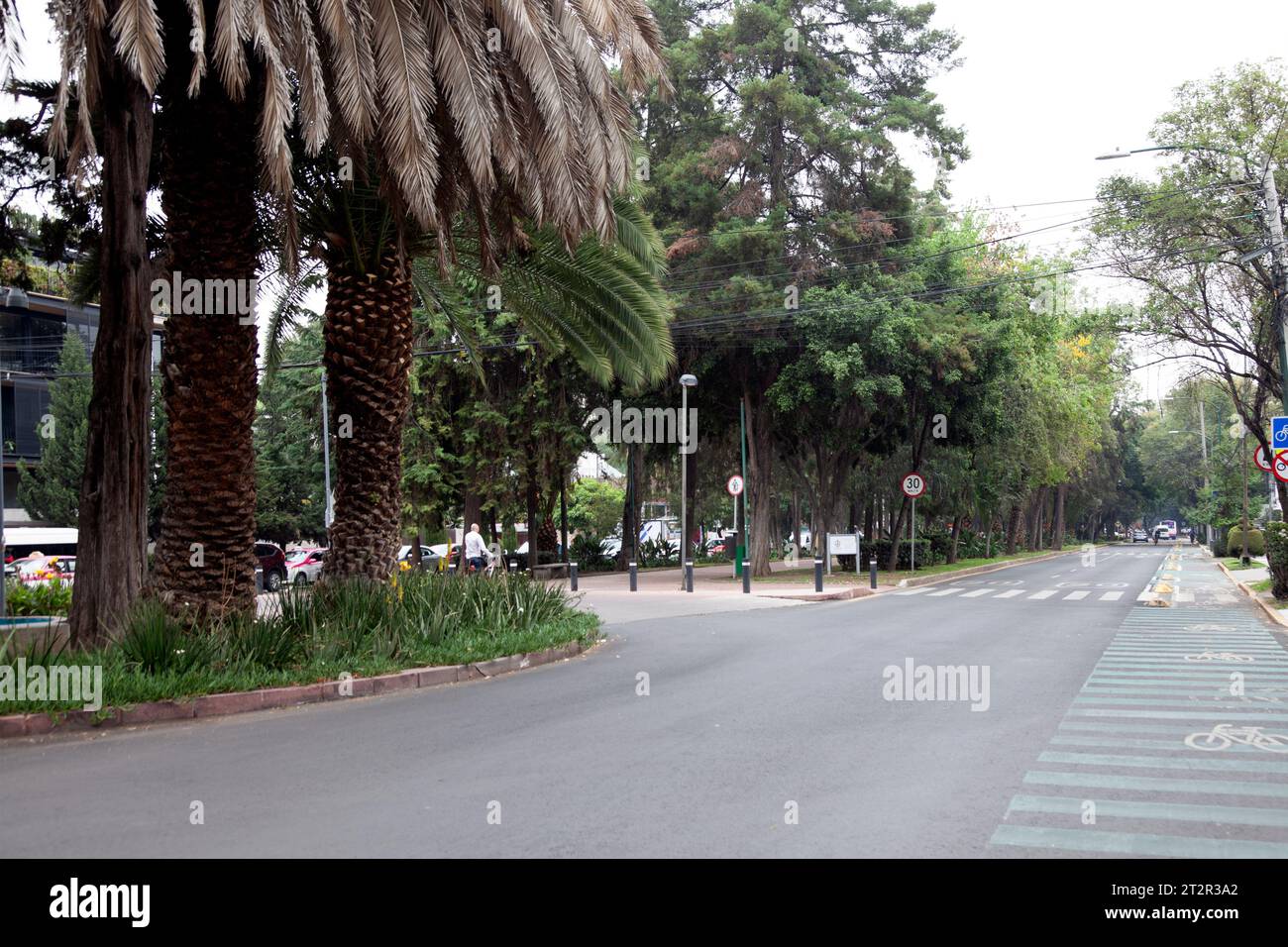 Ave Horatio in Polanco Nachbarschaft in Mexiko-Stadt, Mexiko Stockfoto