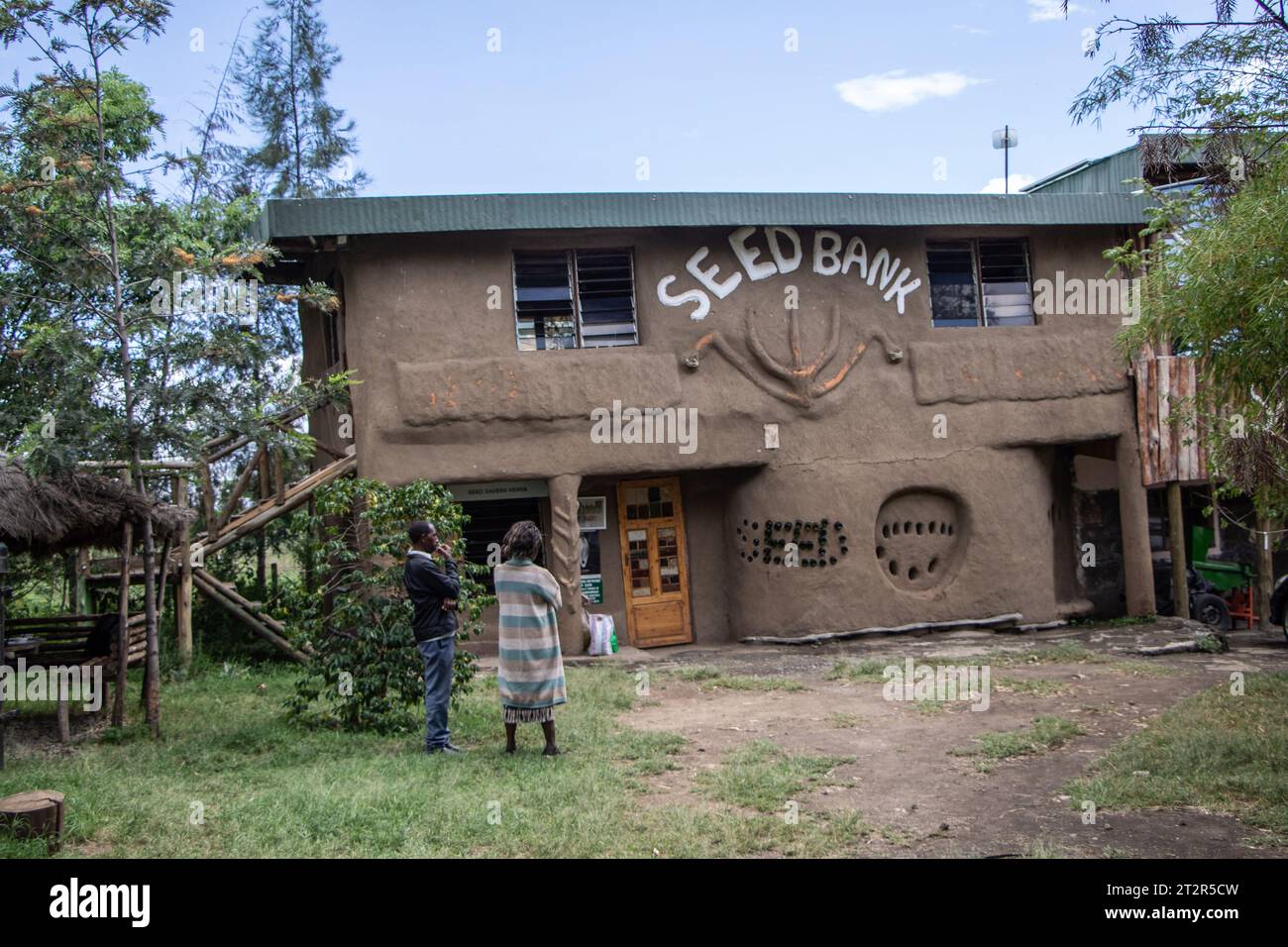 Nakuru, Kenia. Oktober 2023. Menschen stehen vor der Seed Savers Network Bank in Gilgil, nahe Nakuru City. Seed Savers Network, eine kenianische NRO, die mit Kleinbauern zusammenarbeiten, um den Zugang zu Saatgut und die Erhaltung der Artenvielfalt in der Landwirtschaft zu verbessern, plädiert für die Rolle, die traditionelle Pflanzensorten bei der Erhaltung der Artenvielfalt spielen, da sie über eine reiche genetische Vielfalt verfügen, die für Zuchtprogramme zur Entwicklung von Kulturen erforderlich ist, die widerstandsfähig gegen Klimaänderungen sind. (Foto: James Wakibia/SOPA Images/SIPA USA) Credit: SIPA USA/Alamy Live News Stockfoto