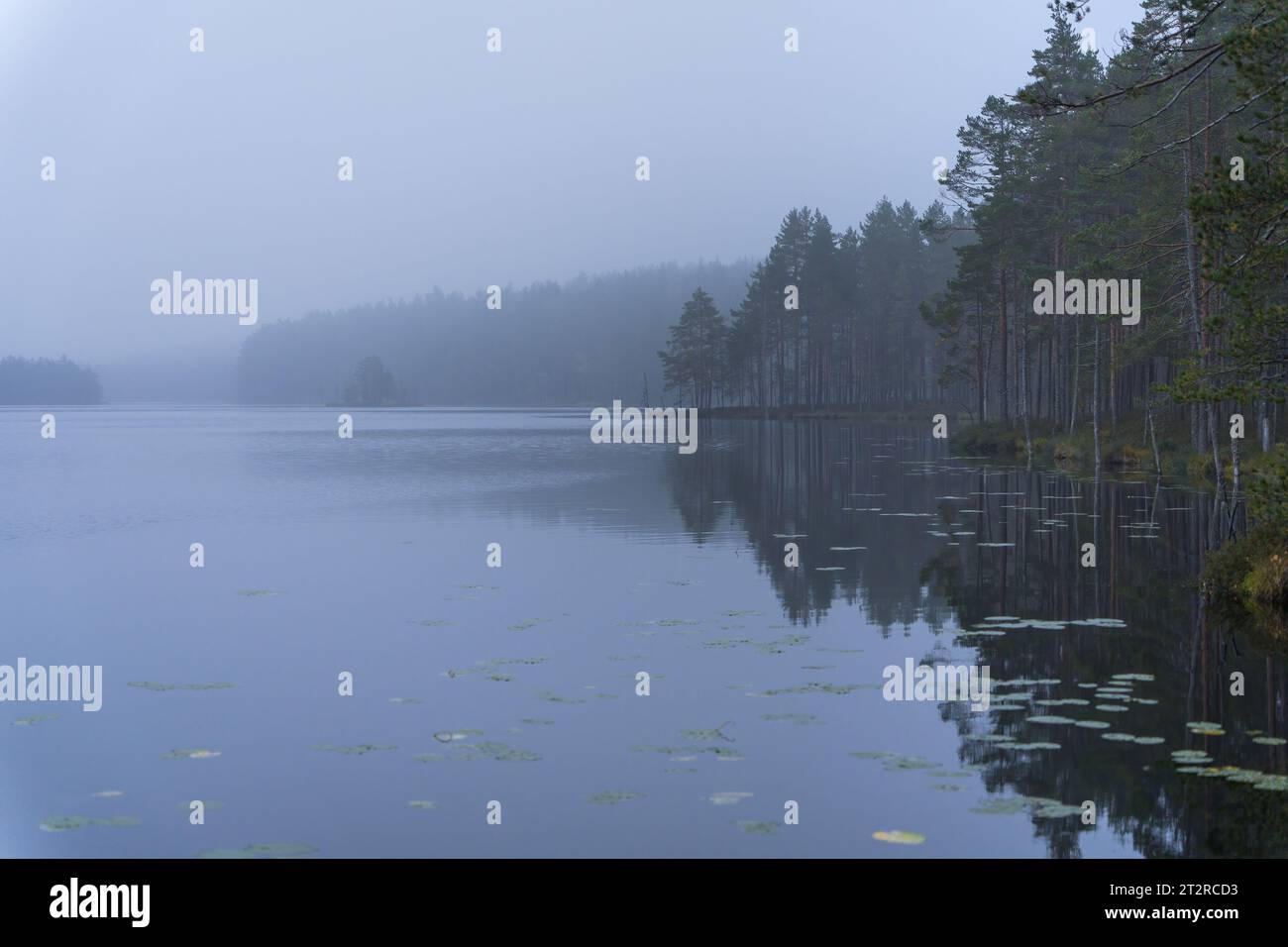 Blick auf die Landschaft des nebligen Sees im Komio Nature Reserve, Finnland. Stockfoto