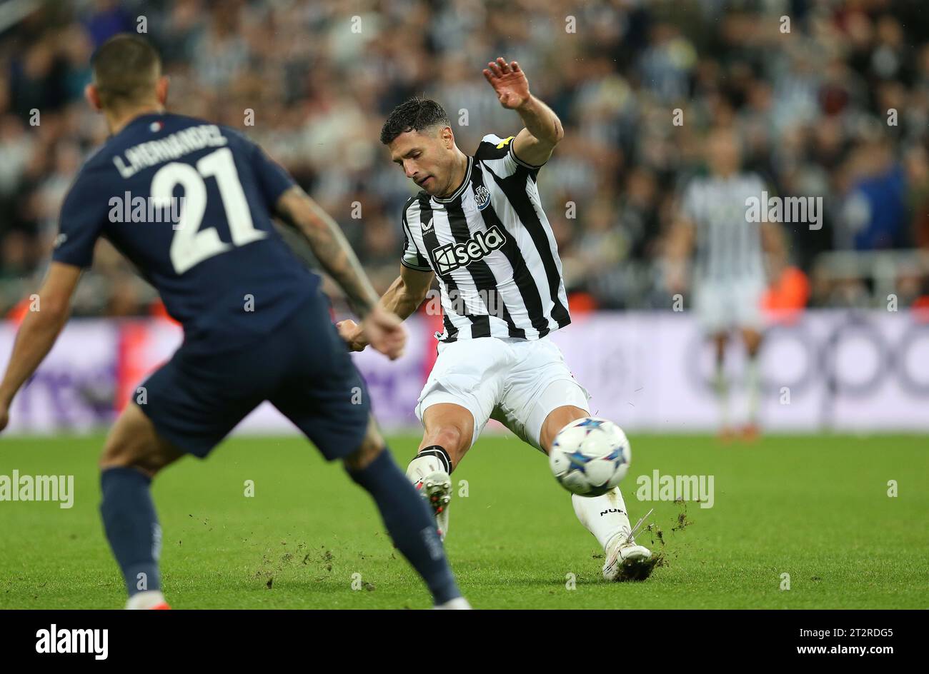 TOR 3:0, Fabian Schar von Newcastle United trifft. - Newcastle United gegen Paris Saint-Germain, UEFA Champions League, Gruppe F, St James’s Park Stadium, Newcastle, Vereinigtes Königreich. - 4. Oktober 2023. Nur redaktionelle Verwendung – es gelten Einschränkungen für DataCo. Stockfoto