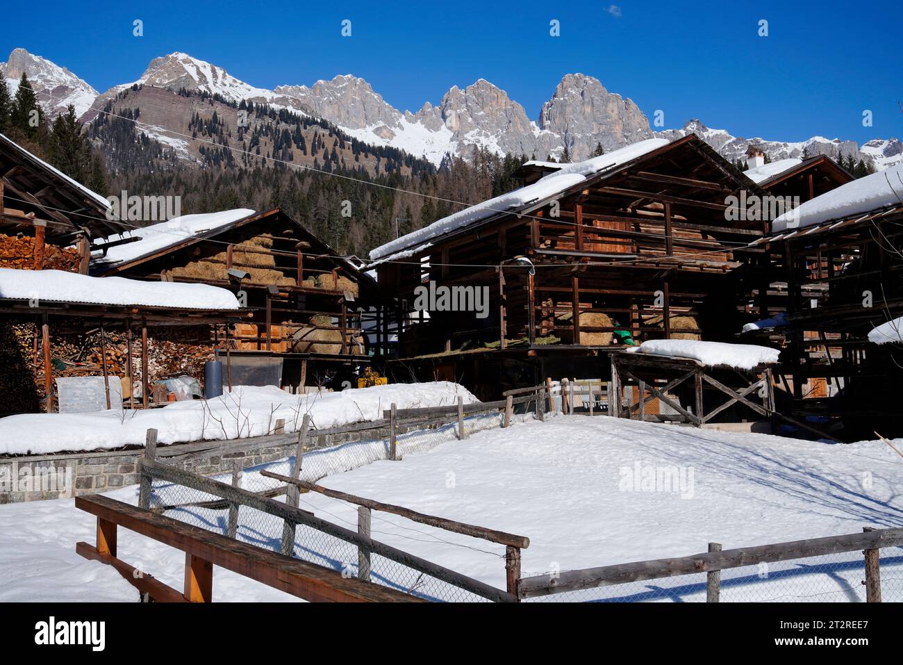 Typische Architektur, Kaviola, Dolomiten, UNESCO, Provinz Belunno, Region Venetien, Italien Stockfoto