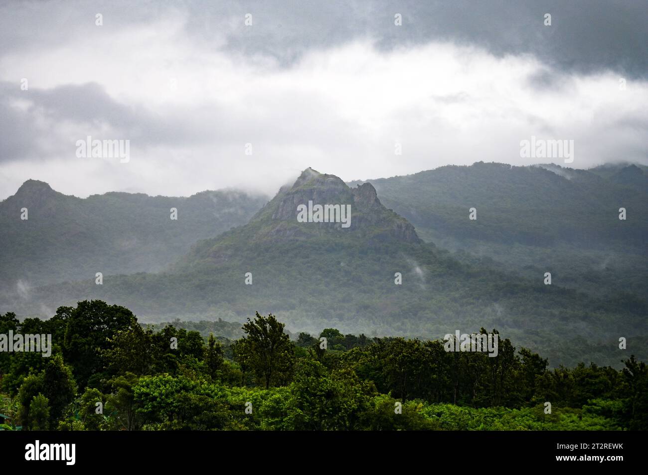 Eine wunderschöne Berglandschaft von Gudallur, Tamil nadu Stockfoto