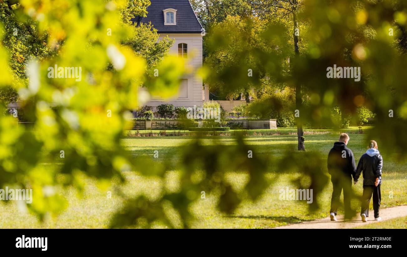 Cottbus, Deutschland. Oktober 2023. Bäume rund um das Schloss im Park von Schloss Branitz beginnen langsam herbstliche Farben zu färben. Der Park wurde von Fürst Hermann von Pückler aus dem Jahr 1846 angelegt und ist ein bedeutender Landschaftspark. Vermerk: Frank Hammerschmidt/dpa/Alamy Live News Stockfoto