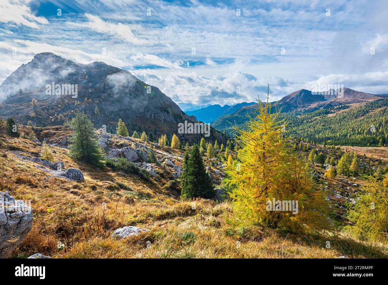 Alpenlandschaft mit Lärchen in Herbstfarben Stockfoto