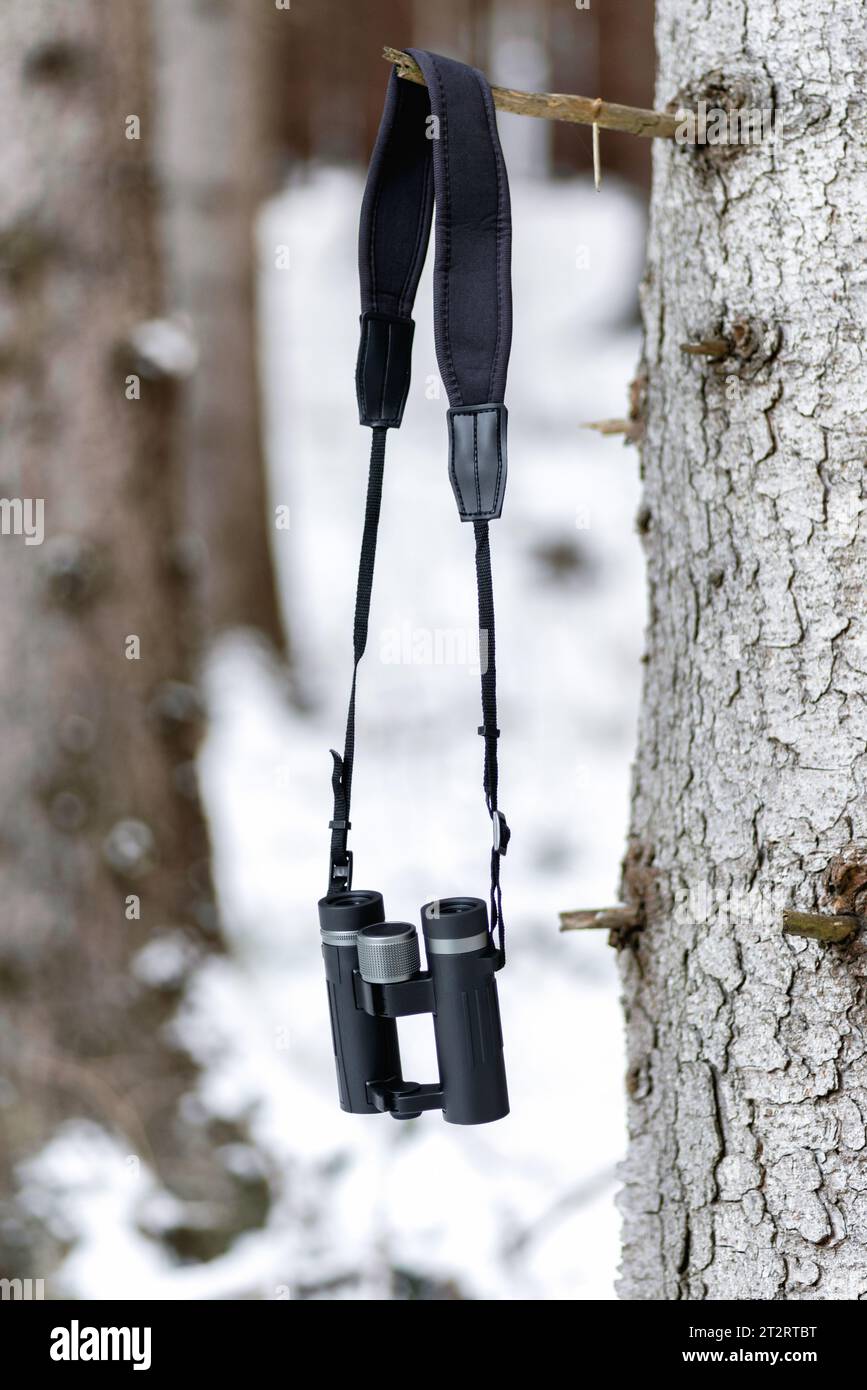 Im Winterwald hängen Ferngläser an Bäumen Stockfoto