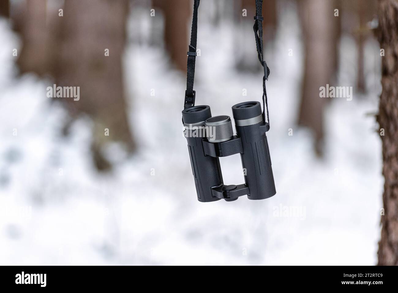 Im verschneiten Winterwald hängen Ferngläser an Bäumen Stockfoto