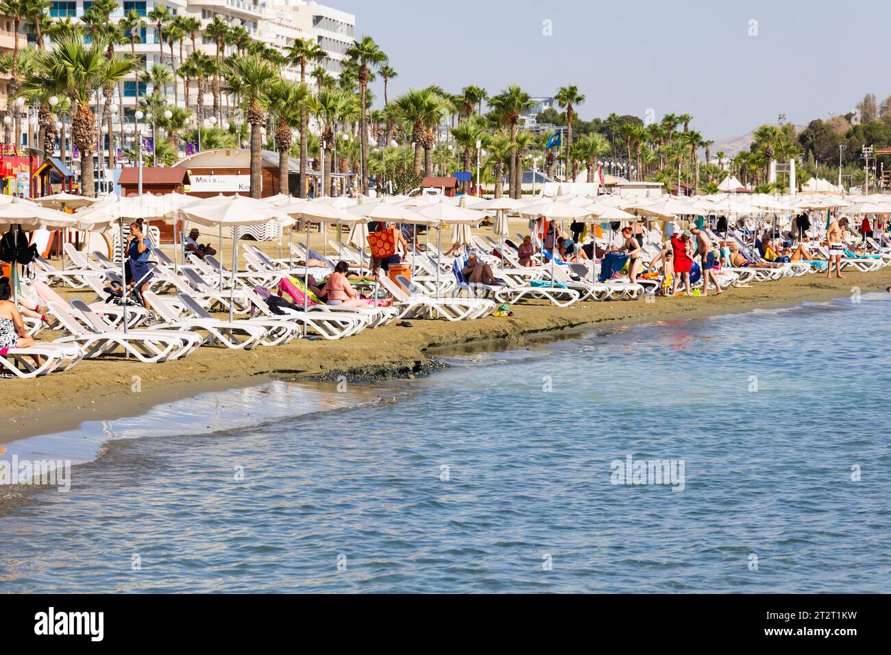 Touristen Sonnenbaden und Schwimmen am Strand von Finikoudes, Larnaca, Zypern Stockfoto