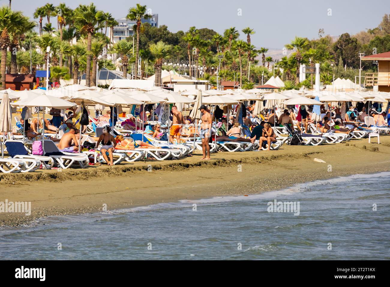 Touristen Sonnenbaden und Schwimmen am Strand von Finikoudes, Larnaca, Zypern Stockfoto