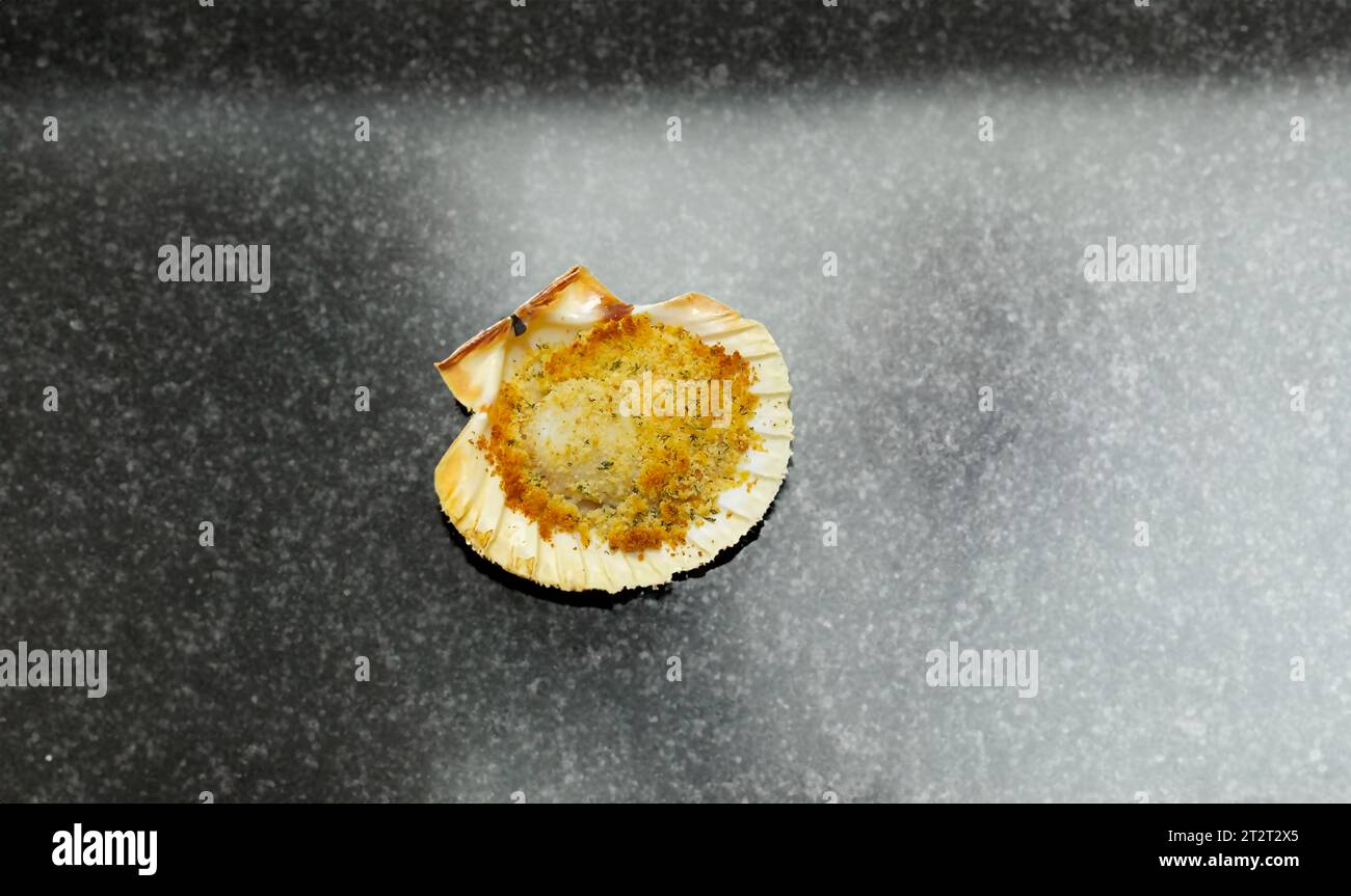 Jakobsmuscheln aus Gratin, im Ofen mit Petersilie und Zitrone gekocht Stockfoto