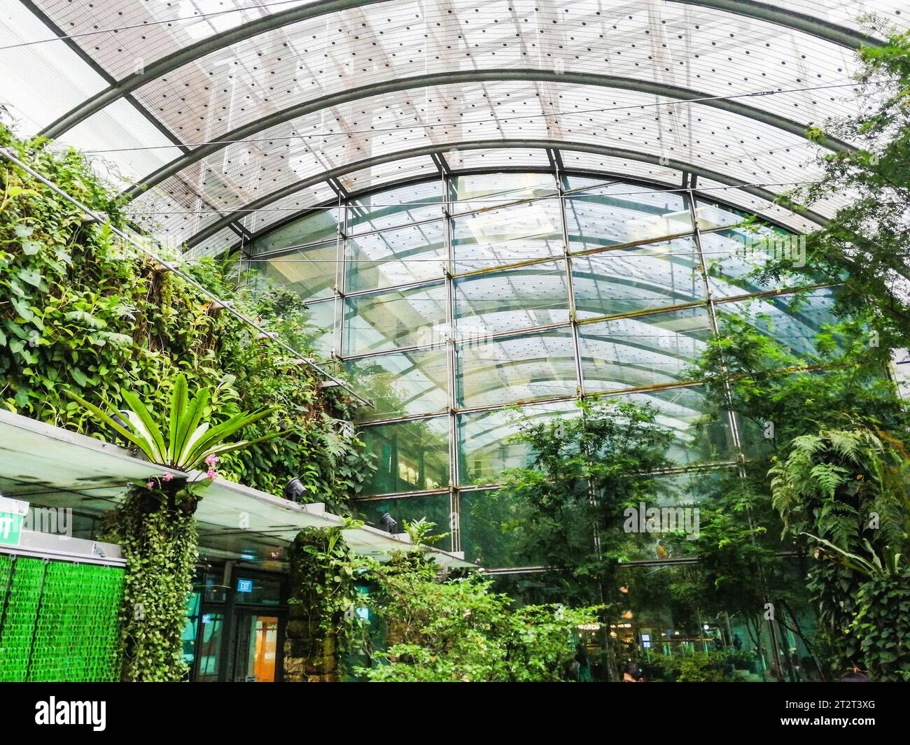 Flughafen Singapur, Changi Stockfoto