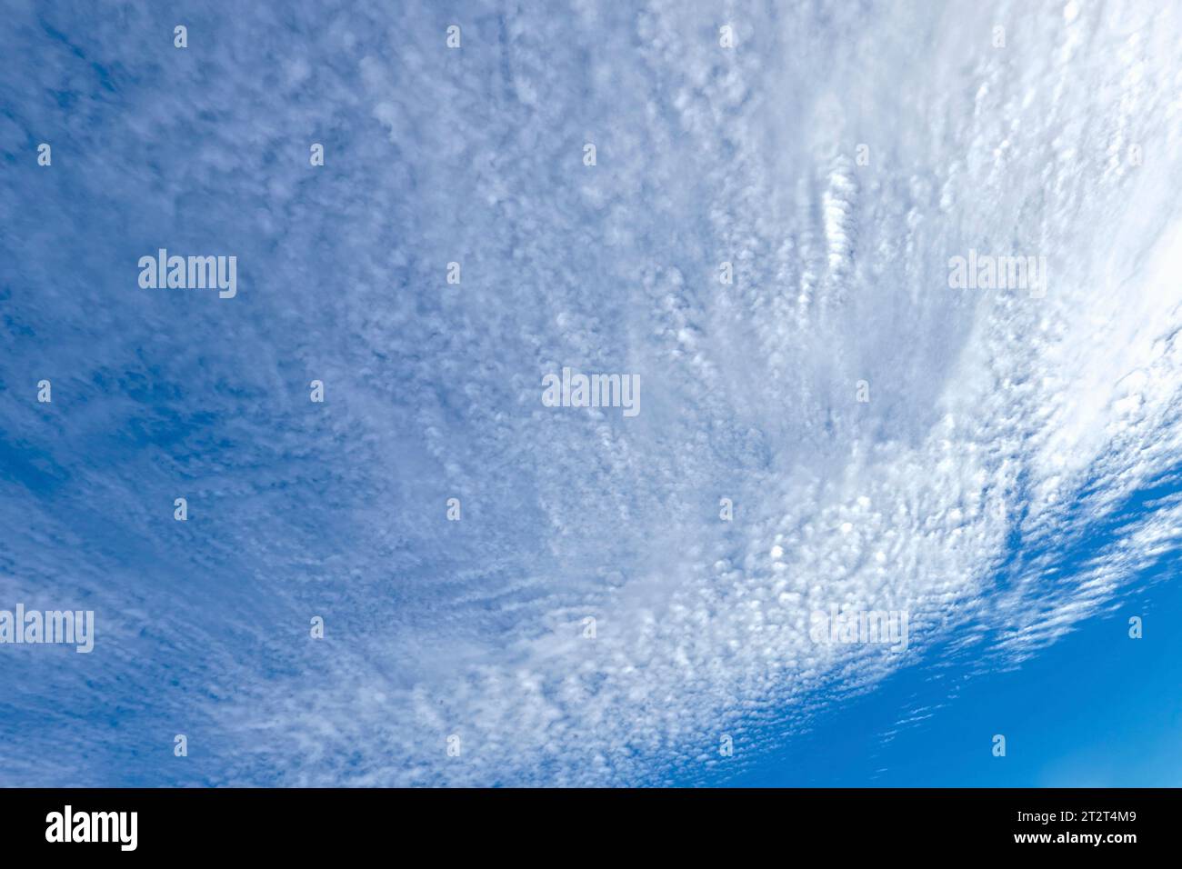 Altocumulus Wolken vor blauem Himmel - British Columbia, Kanada Stockfoto