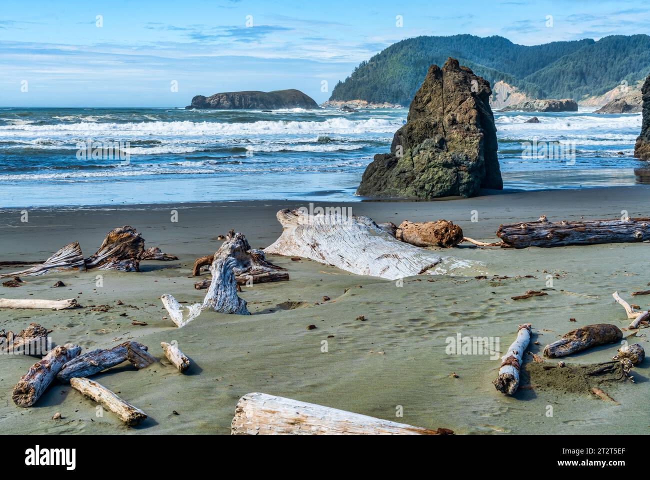 Dieser Strand an der Küste Oregons hat ein bisschen von allem. Es hat Sand, Wellen, Treibholz und Felsformationen. Stockfoto