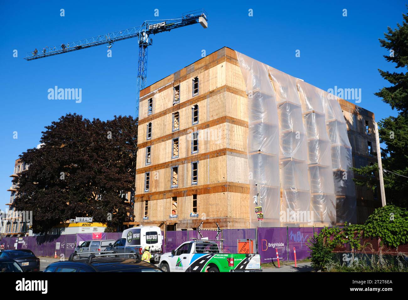 Holzrahmen eines neuen sechsstöckigen Wohngebäudes, das in East Vancouver gebaut wird Stockfoto