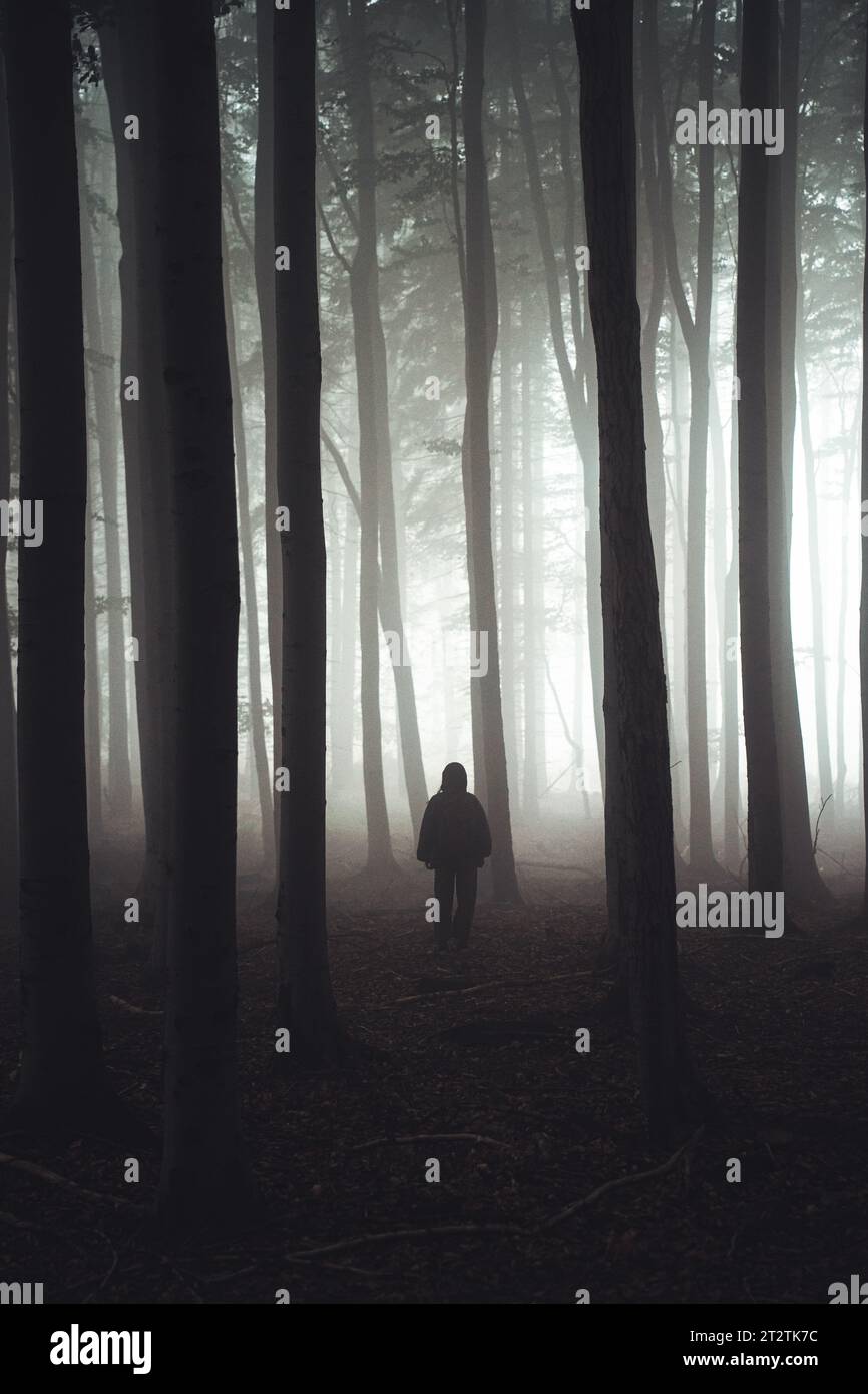 Nebeliger Nachmittag im Frühlingswald. Silhouette einer Frau, die mitten auf dem Foto steht, Luzicke hory Stockfoto