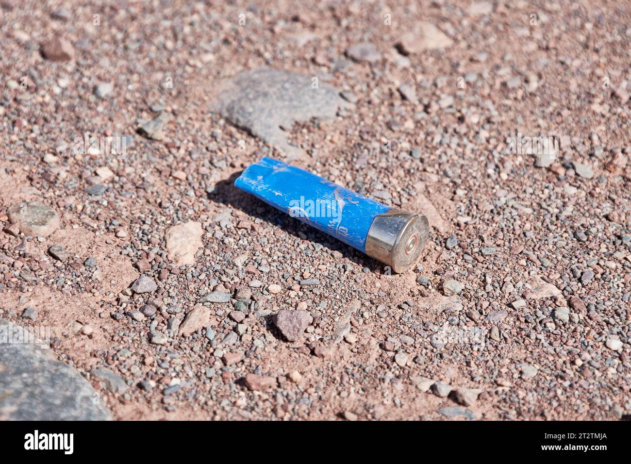 Leeres blaues Gewehrgehäuse auf einem Feldweg außerhalb der Jagdgründe. Kunststoffhülse für eine Jagdpatrone für eine glatte Schrotflinte. Munitionsgehäuse für Stockfoto