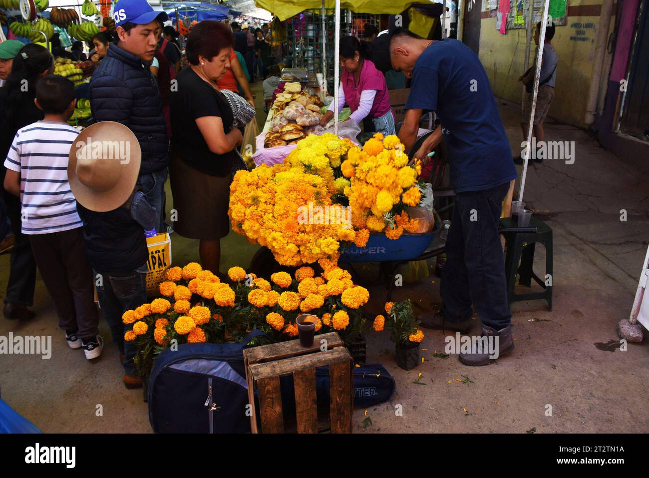 Tag der Toten in San Gregorio Atlapulco, Xochimilco, Mexiko-Stadt Stockfoto