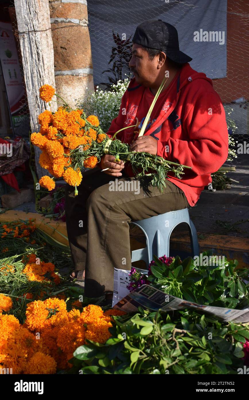 Ein Blumenhändler am Tag der Toten in Huaquechula, Puebla Stockfoto