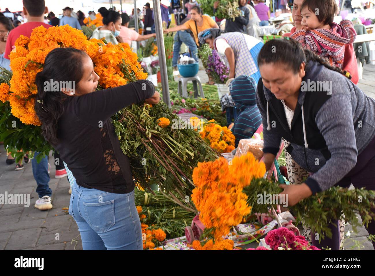 Eine Frau, die Blumen kauft während des Todes in Huaquechula, Puebla Stockfoto