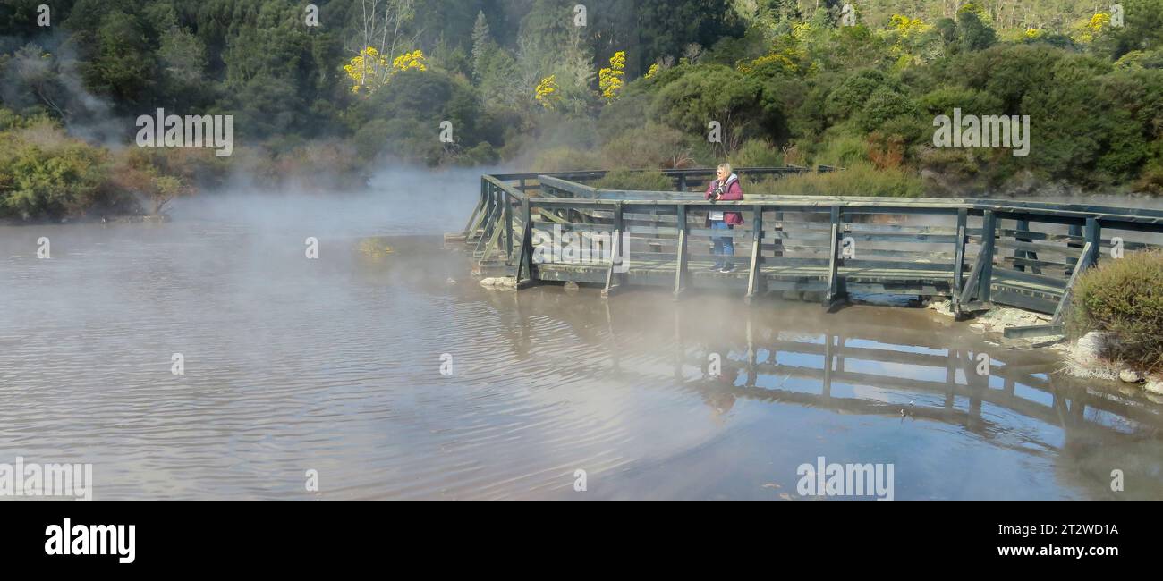 Thermalgebiet in Rotorua, Neuseeland Stockfoto