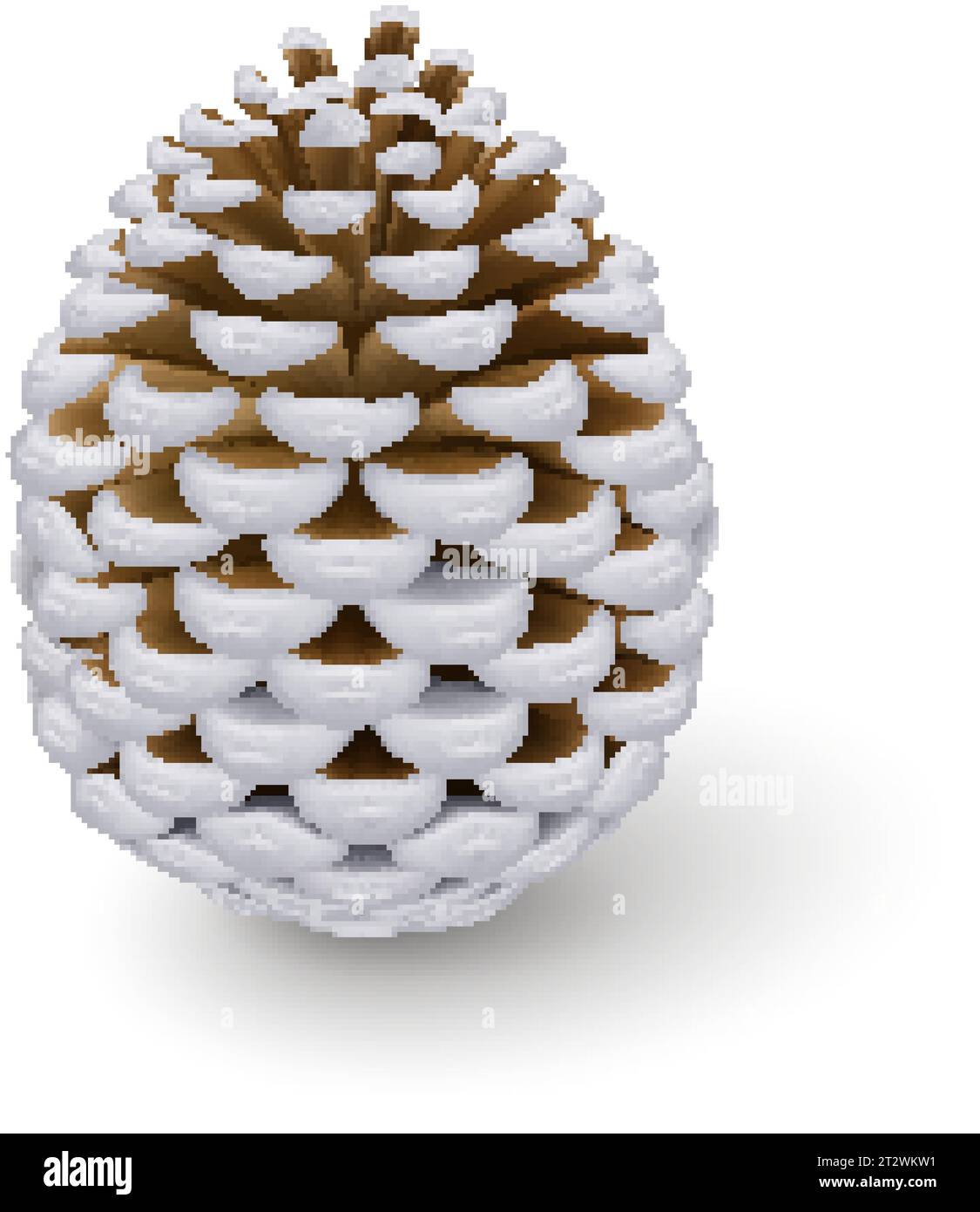 Silberkieferkegel. Einzelne dekorative Holzfrucht eines Nadelbaums. Weihnachtsdekoration, Weihnachtsdekoration Stock Vektor